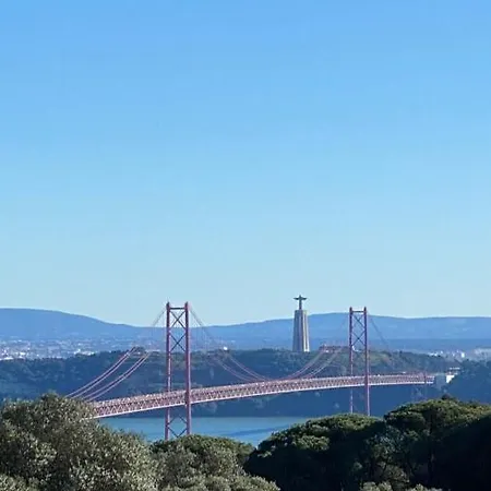 Vibes - Monsanto House